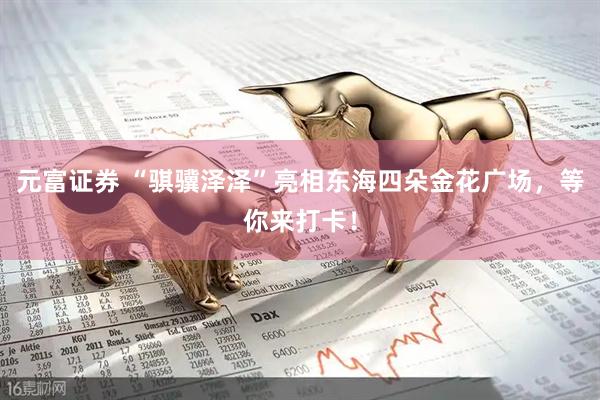 元富证券 “骐骥泽泽”亮相东海四朵金花广场，等你来打卡！